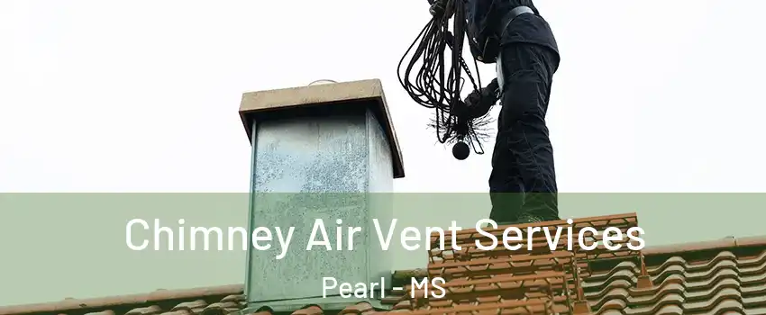  Chimney Air Vent Services Pearl - MS