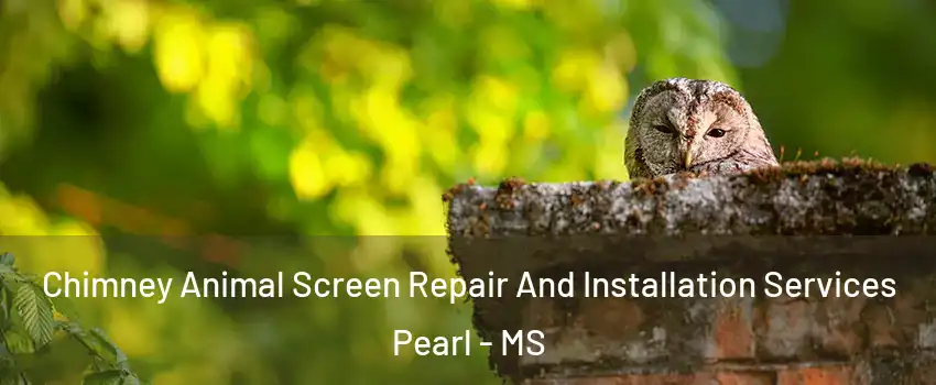  Chimney Animal Screen Repair And Installation Services Pearl - MS