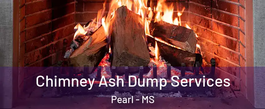  Chimney Ash Dump Services Pearl - MS