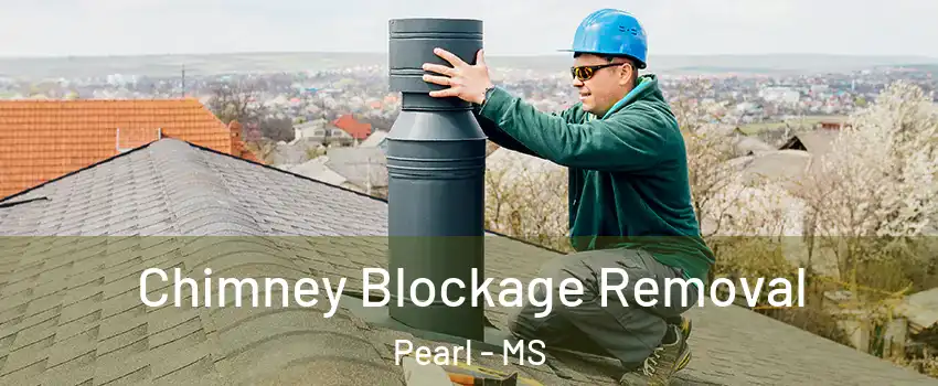  Chimney Blockage Removal Pearl - MS