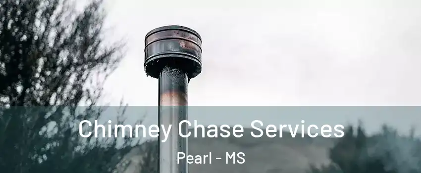  Chimney Chase Services Pearl - MS