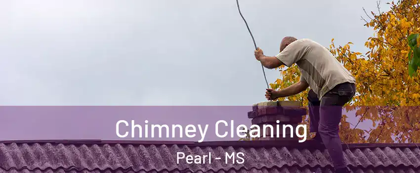  Chimney Cleaning Pearl - MS
