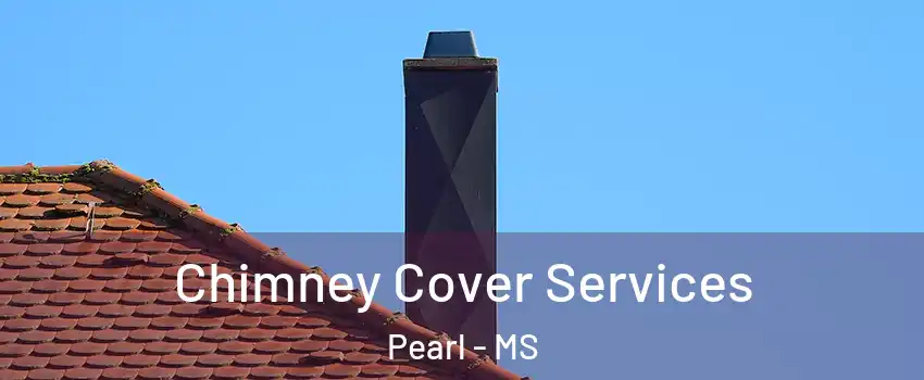  Chimney Cover Services Pearl - MS