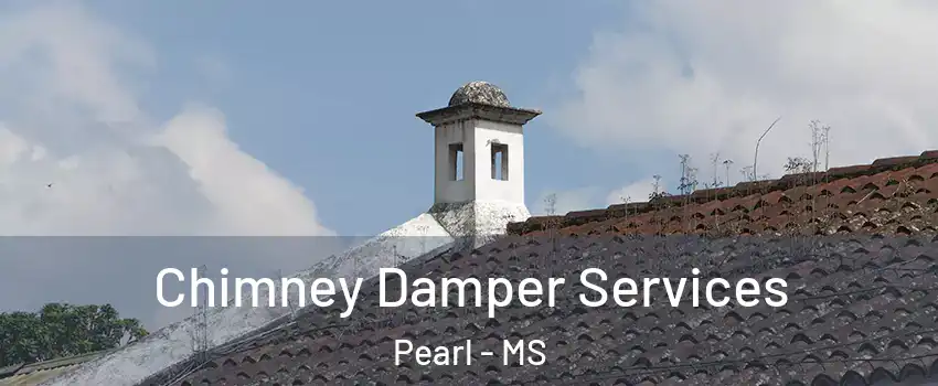  Chimney Damper Services Pearl - MS