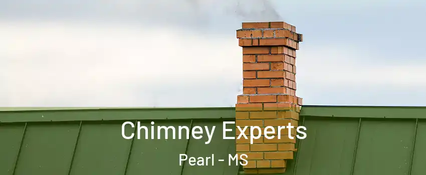 Chimney Experts Pearl - MS