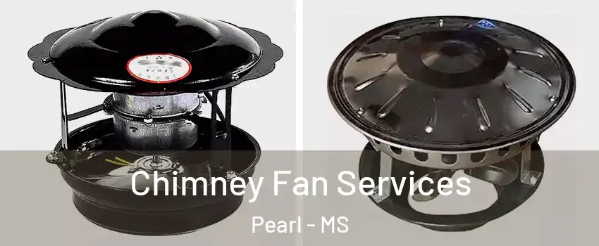  Chimney Fan Services Pearl - MS