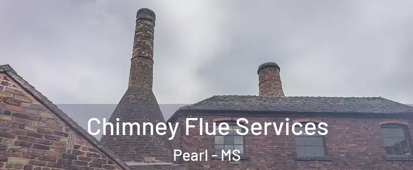  Chimney Flue Services Pearl - MS