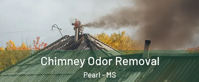  Chimney Odor Removal Pearl - MS