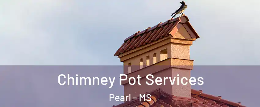  Chimney Pot Services Pearl - MS