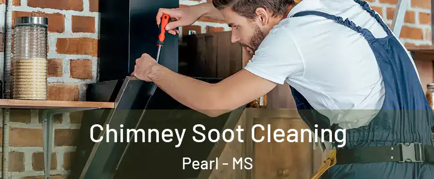  Chimney Soot Cleaning Pearl - MS