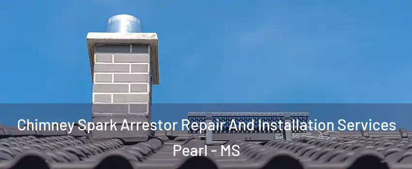  Chimney Spark Arrestor Repair And Installation Services Pearl - MS