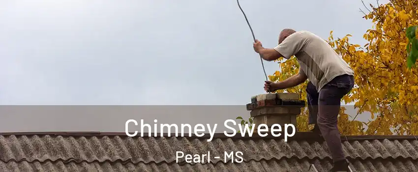  Chimney Sweep Pearl - MS