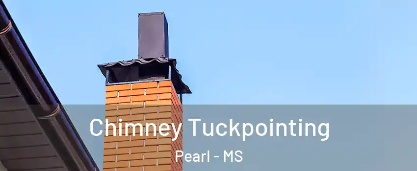  Chimney Tuckpointing Pearl - MS