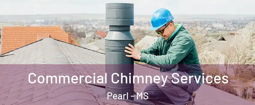  Commercial Chimney Services Pearl - MS