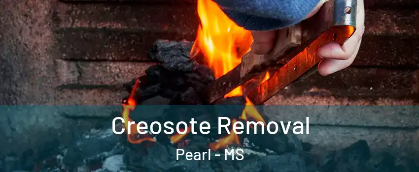 Creosote Removal Pearl - MS