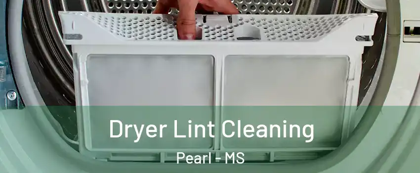  Dryer Lint Cleaning Pearl - MS