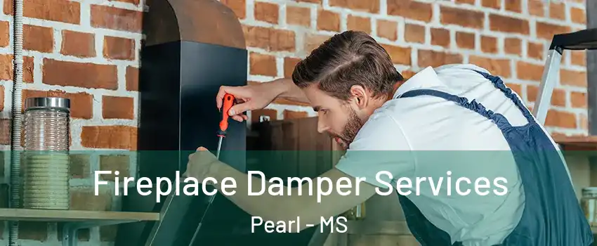  Fireplace Damper Services Pearl - MS