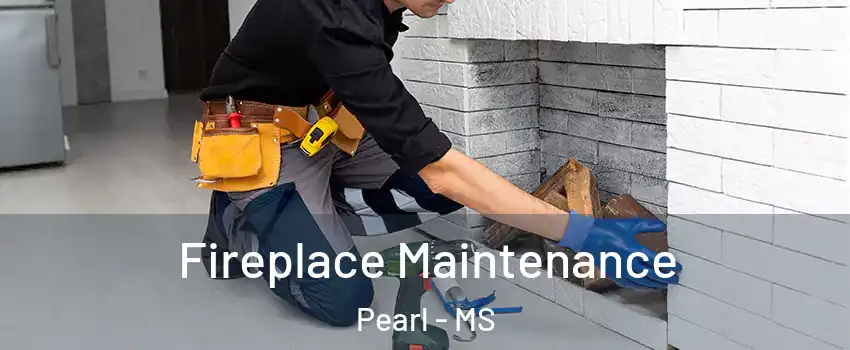  Fireplace Maintenance Pearl - MS