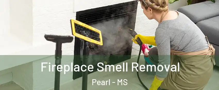  Fireplace Smell Removal Pearl - MS