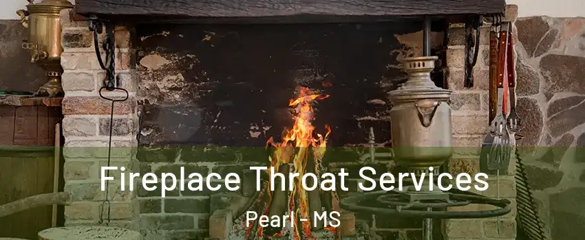  Fireplace Throat Services Pearl - MS