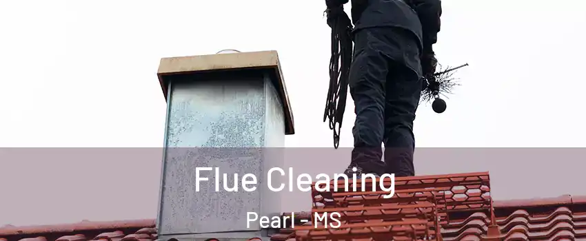  Flue Cleaning Pearl - MS