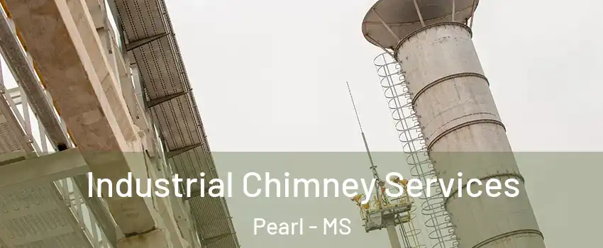  Industrial Chimney Services Pearl - MS