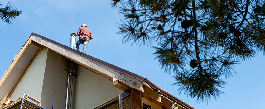 Birds Removal Contractors from Chimney in Pearl, MS