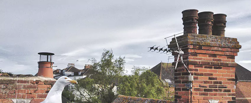 Chimney Cleaning And Restoration in Pearl, Mississippi