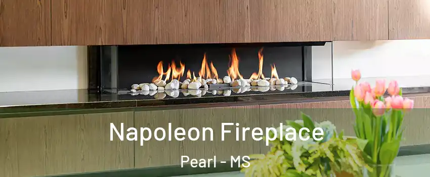  Napoleon Fireplace Pearl - MS
